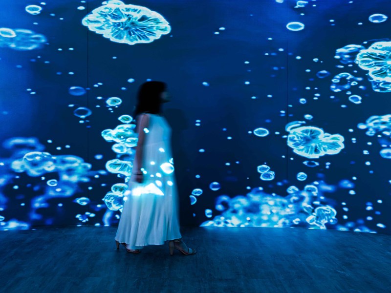 念生花境  Hello Bloom