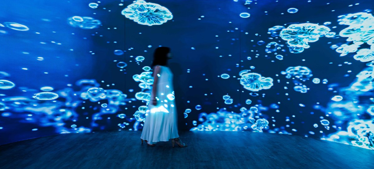 念生花境  Hello Bloom